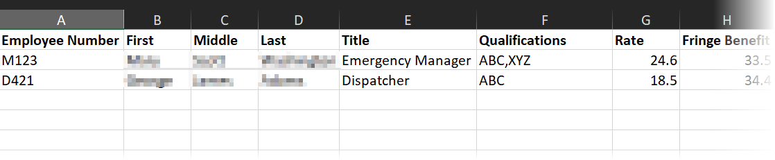 Excel file showing a list of employee details