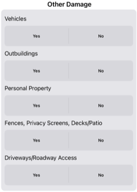 Crisis Track Mobile App: Other Damage fields
