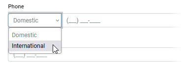 Multiple Input Masks for Phone Numbers