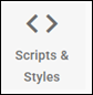 Scripts & Styles icon