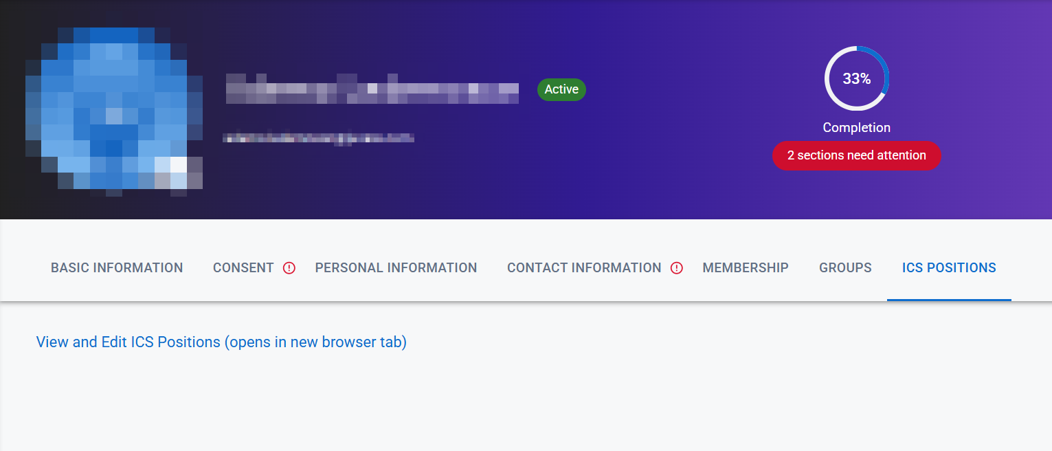 The ICS Positions tab for an account The ICS Positions tab for an account