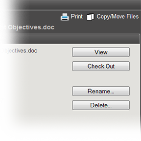 File Details window