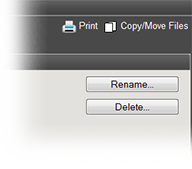 Folder Details: Rename a Folder option