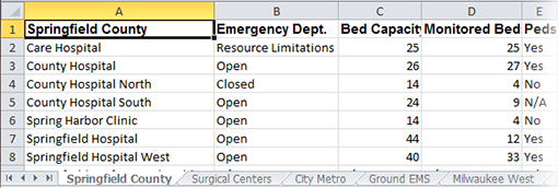 EMResource Print or Export a Region View Exported Report