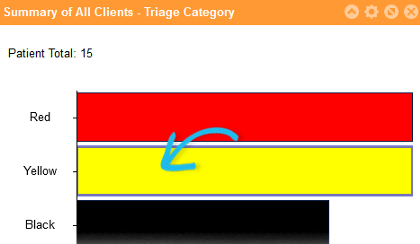 View all clients by triage category.