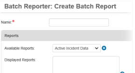 Create Batch Report page