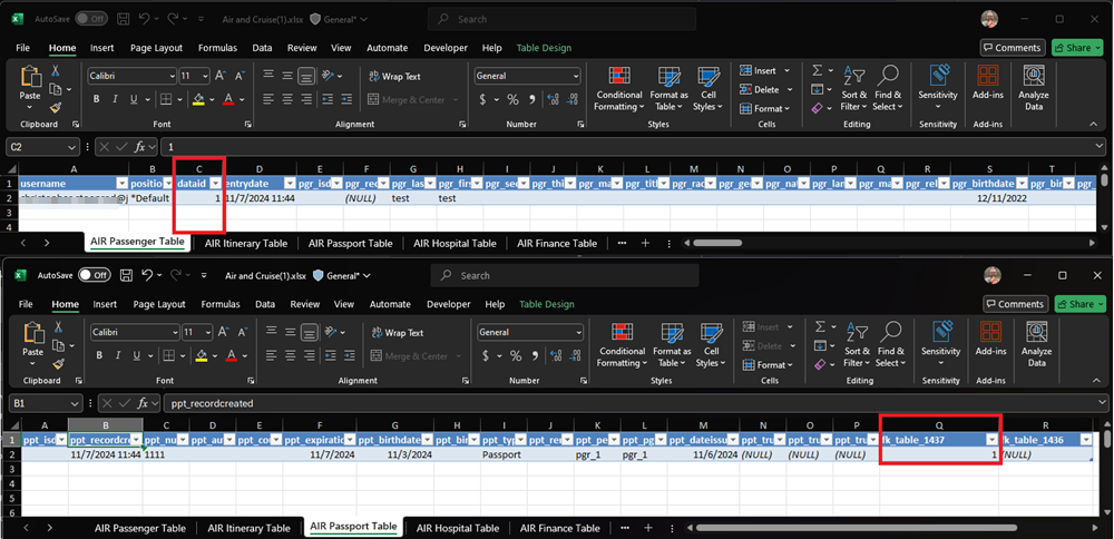 Orphaned Records Excel Screenshot