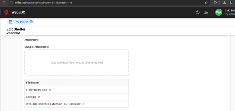 Click image to enlarge multiple file input tag on an input view