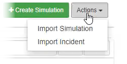 Simulation Import Options