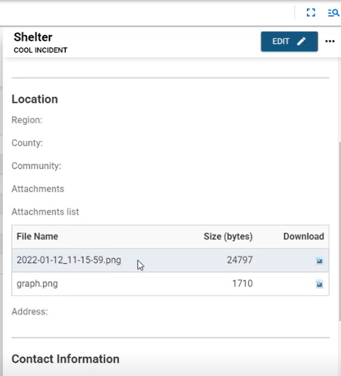 Click image to enlarge Multiple file inptu tag visible on the detals view