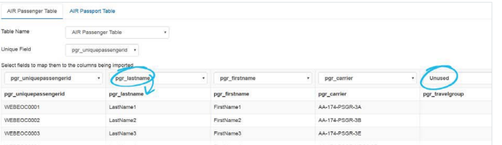 Click image to enlarge AR Passenger Table tab