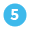 Number 5 Icon