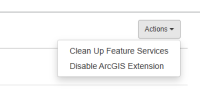Clean Up Feature Services option